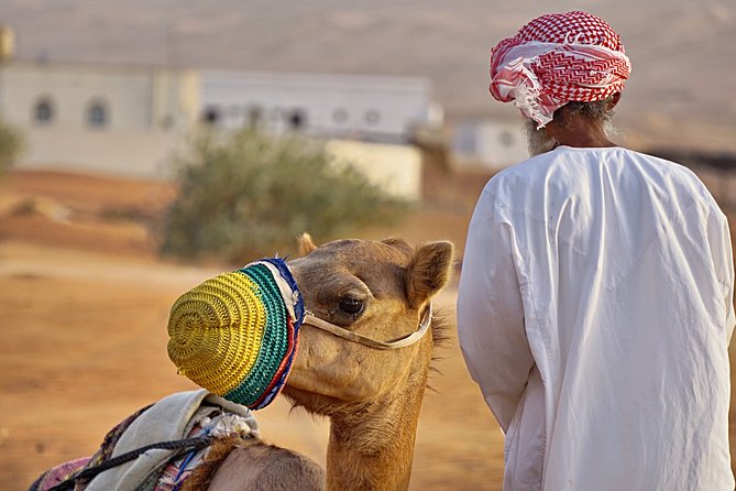 Bediyah: Camel Safari Through the Wahiba Sands Desert - Meeting Point and Transportation Details