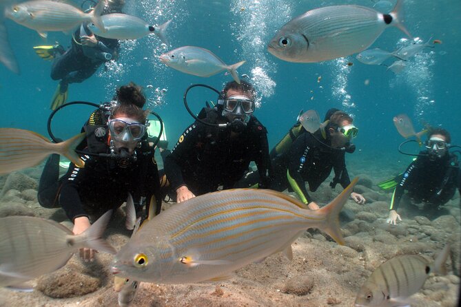 Beginner Dive From Playa Chica With Instructor - Meeting and Pickup Information