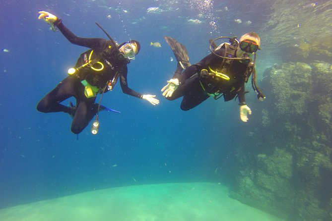 Beginner Scuba Diving in Cabo San Lucas - Meeting and Safety Information