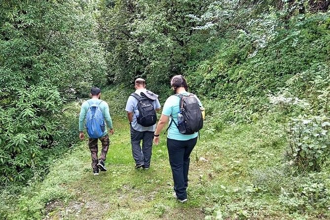 Benog Tibba Nature Trail - Highlights of the Trail