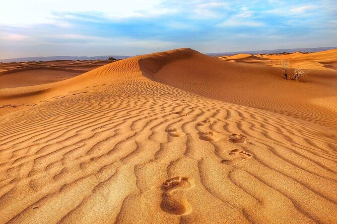 Berber Experience Atlas and Sahara - Itinerary Highlights
