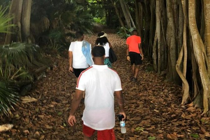 Bermuda Railway Trail and Off The Beaten Path Walking Experience - Meeting Location and Transportation