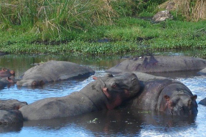 Best 4 Days Tanzania Sharing Group Safari - Inclusions and Amenities