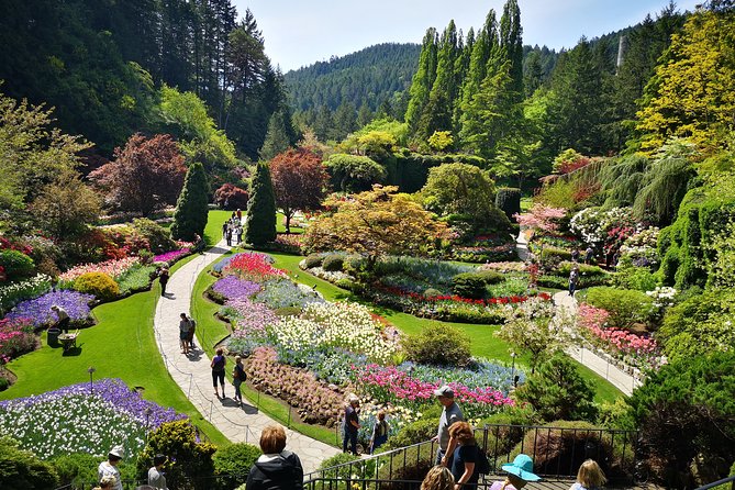Best of Butchart Gardens City Highlights Private Tour - Discovering Butterfly Gardens
