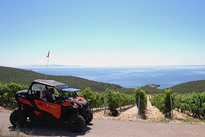 Best of Korcula Island Winerys by 4X4 Canam Buggys - Exploring Korculas Coastal Wineries
