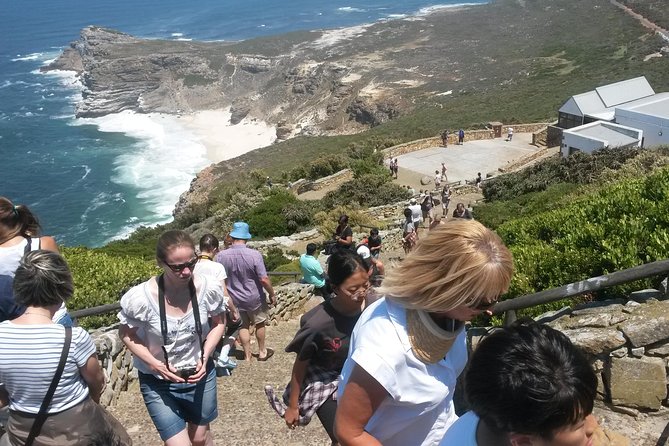 Best of the Cape (Cape Point & Winelands) - Exploring the Winelands