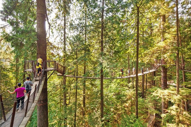 Best of Vancouver Highlights /Suspension Bridge/ Free Pizza Party Tour Private - Inclusions
