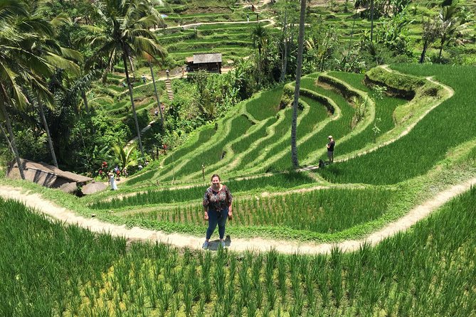 Best Ubud Tour With Jungle Swing And Lunch - Inclusions and Highlights