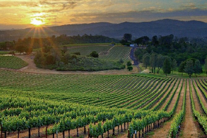 Best Wines of Crete: Wine Tasting Tour & Traditional Lunch - Wineries Included in the Tour