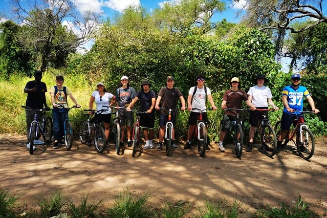 Bicycle Hire - Experience Highlights