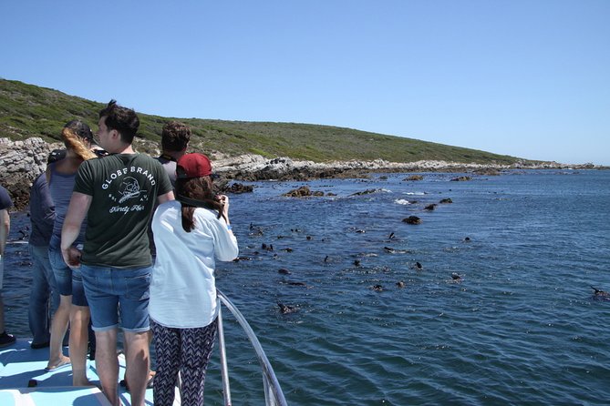 Big 5 Sea Safari in Walker Bay From Gansbaai - Scenic Highlights Along the Route