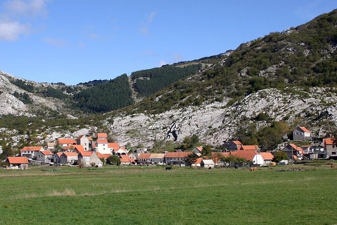 Bike Tour - Panoramic Downhill From NjegušI and Kotor Serpentines - Included Equipment and Guide