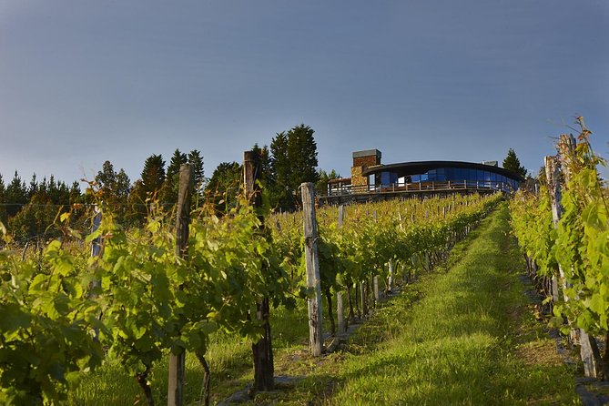 Bilbao Txakoli Wine Tour - Tour Duration and Pickup Service
