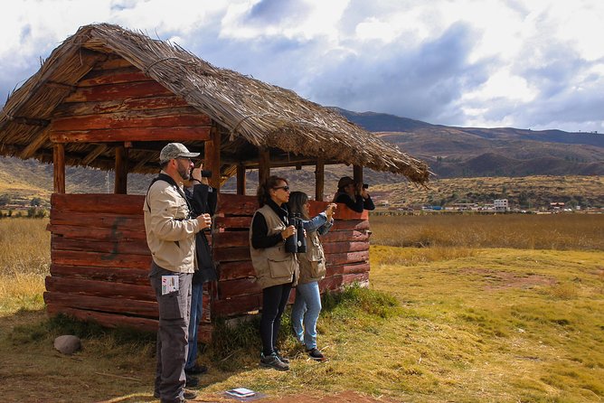 Birdwatching at Huacarpay Wetland in Cusco - Key Tour Details