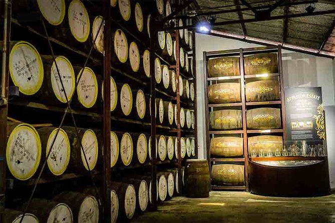 Black River Safari and Appleton Rum Estate Private Tour - Additional Details