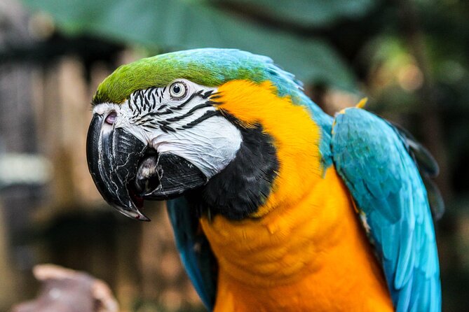 Bloedel Conservatory Admission Ticket - Activities and Relaxation Spots