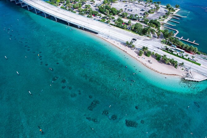 Blue Heron Bridge Guided Snorkel Tour - Inclusions and Amenities