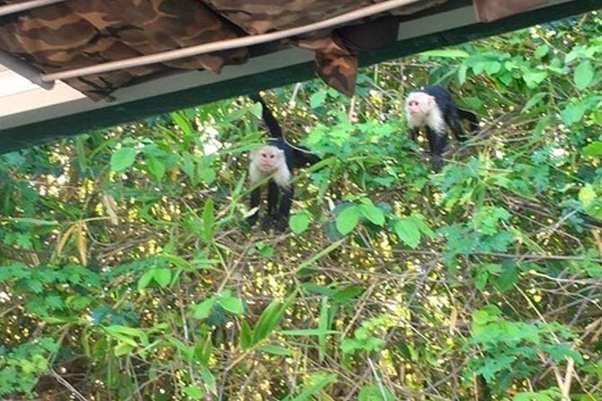 Boat Tour in Palo Verde River | Near Nicoya - Inclusions and Amenities