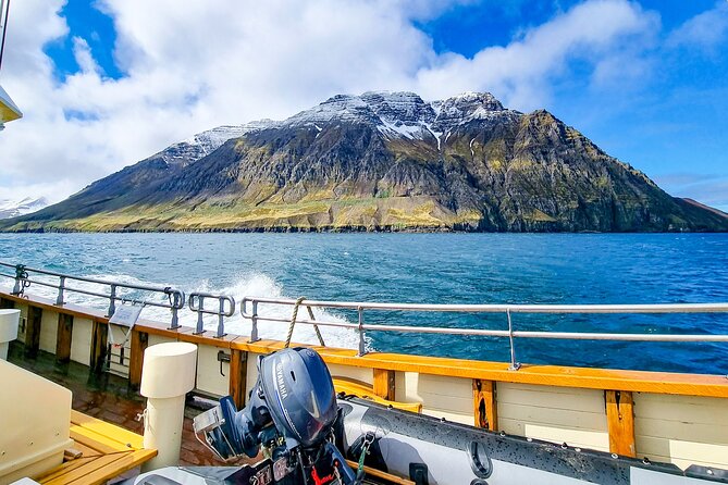 Boat Tours From Siglufjörður - Whale Watching Tours