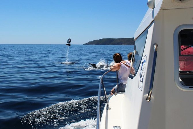 Boat Trip for Dolphin Watching Along the Arrabida Coast and Sesimbra - Boat Ride Inclusions and Pricing