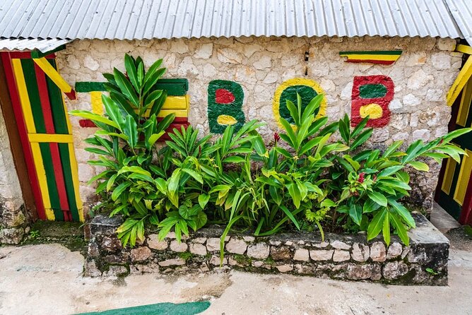 Bob Marley Mausoleum & Dunn's River Falls Private Tour - Transportation and Amenities