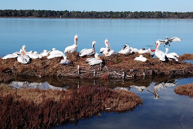 Bodyflow Experience in Karavasta Lagoon From Tirana & Durres - Unique Aspects of the Activity