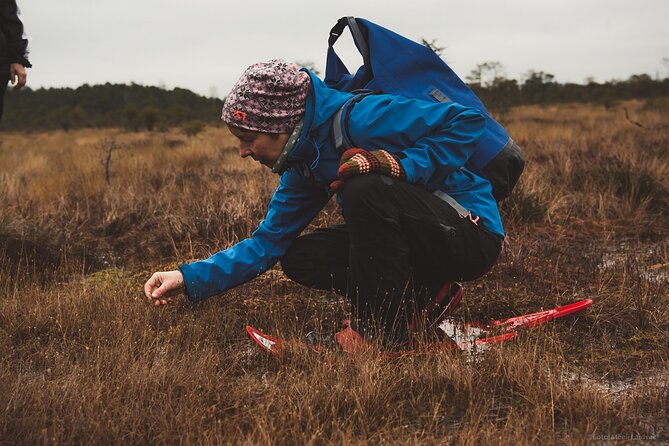 Bog-shoe Hiking Tour - Meeting Point and Pickup Details