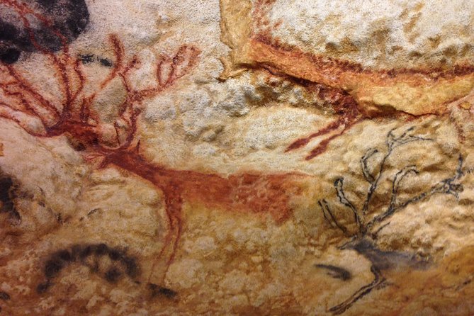 Bordeaux to Lascaux and Dordogne Valley Private Sightseeing Tour - Pickup and Accessibility