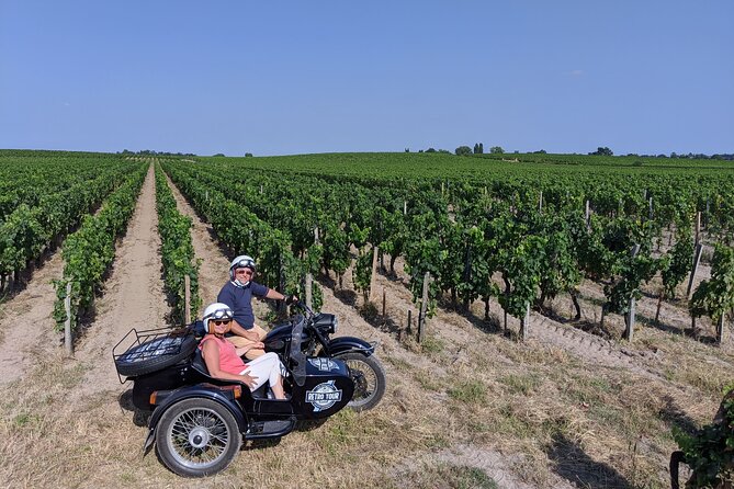 Bordeaux Vineyard Tour Review: A Memorable Experience - Highlights of the Inclusions