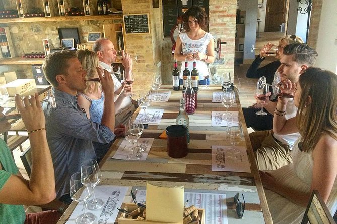 Brunello Di Montalcino Wine Experience With a Sommelier - Positive Guest Reviews Breakdown