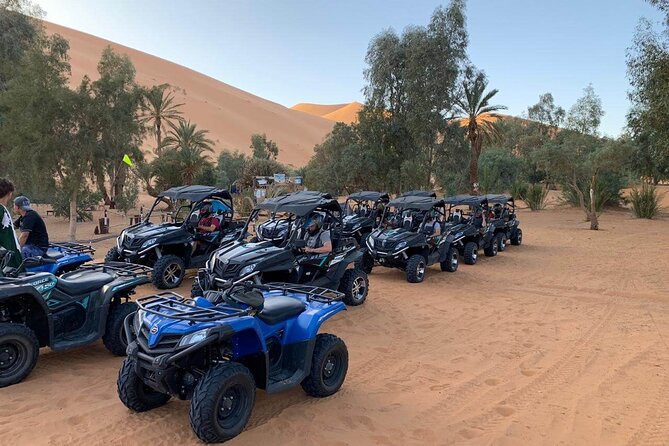 Buggy Adventure Half Day Experience - Health and Safety Guidelines