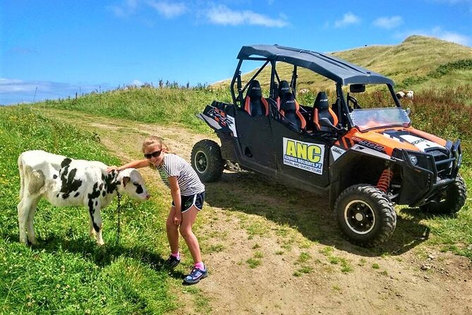 Buggy – Off-Road Excursion W/ Lunch – Coast to Coast (Shared) - Volcanic Landscapes and Farms