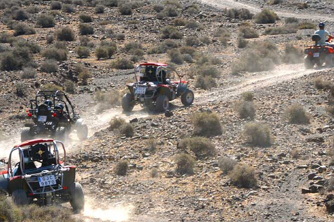 Buggy Safari In Costa Calma Review - Booking and Cancellation