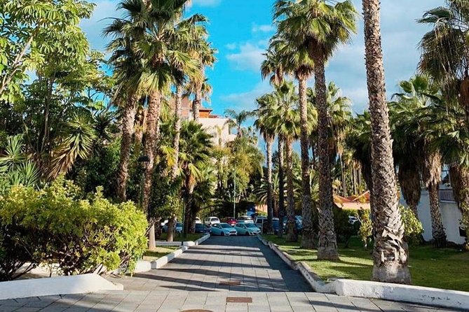 Buggy Tour South Coast of Tenerife With Off-Road - Traveler Reviews