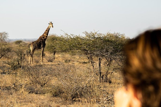 Bundox Big 5 Morning Game Drive - Passionate Safari Guides