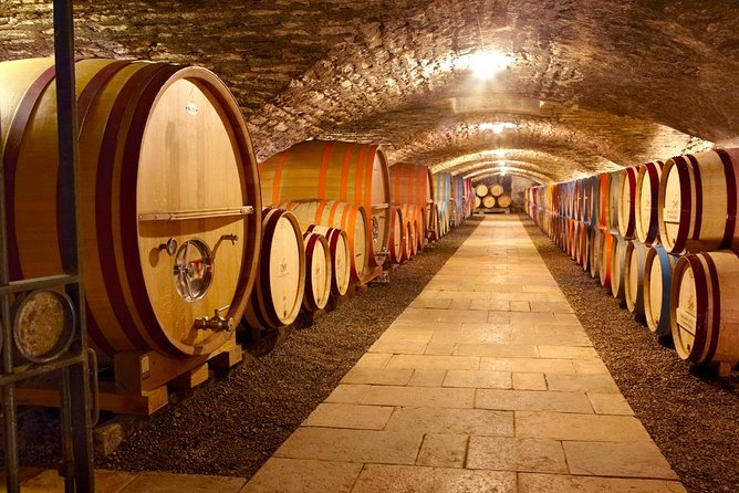 Burgundy Wine Trail From Beaune to Macon - Accommodations and Amenities
