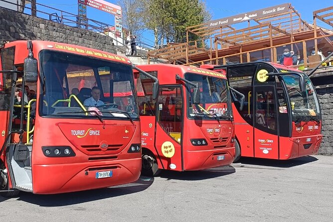 Bus Etna Experience of Italy - Accessibility and Participation