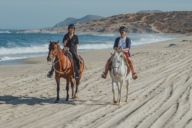 Cabo Horseback Riding on Pacific Beach and Desert - Accessibility and Safety