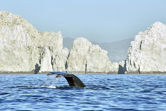 Cabo Private Transportation to Cabo - Booking Information