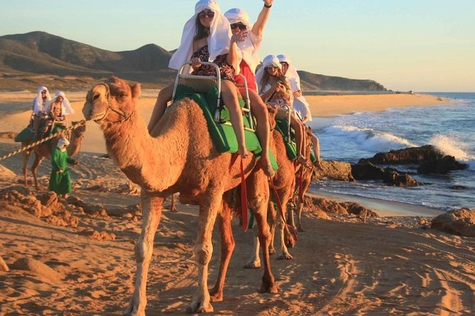 Cabo San Lucas Camel Ride and Encounter on Beach and Desert - Health and Safety Information