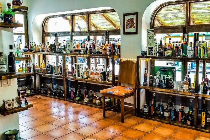 Cabo San Lucas Tequila Tasting Experience - Varieties Sampled