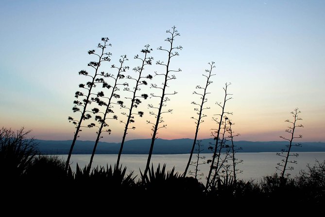 Cagliari Urban Trekking Experience: the City You Did Not Expect - Discovering Cagliaris Architectural Wonders