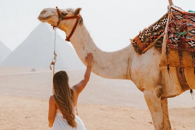 Cairo Layover Giza Pyramids & Sphinx With Private Tour Guide - Highlights of the Giza Pyramids