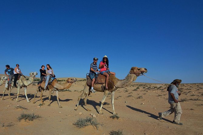 Camel Ride - Experience Highlights