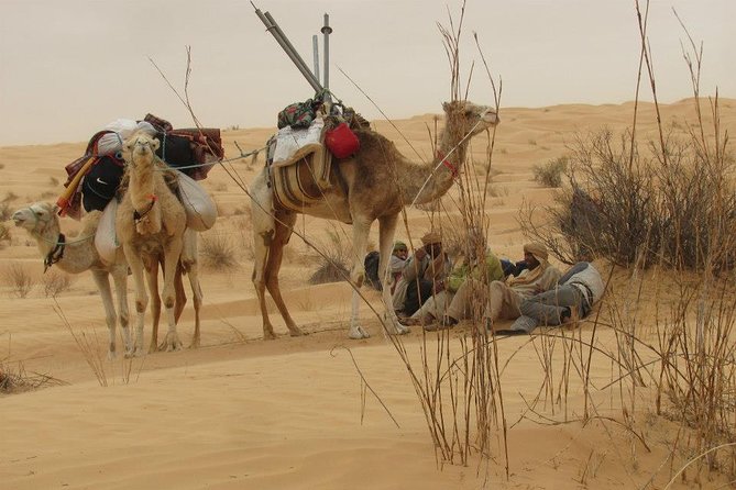 Camel Ride and 1 Night in the Desert - Overnight Desert Camping