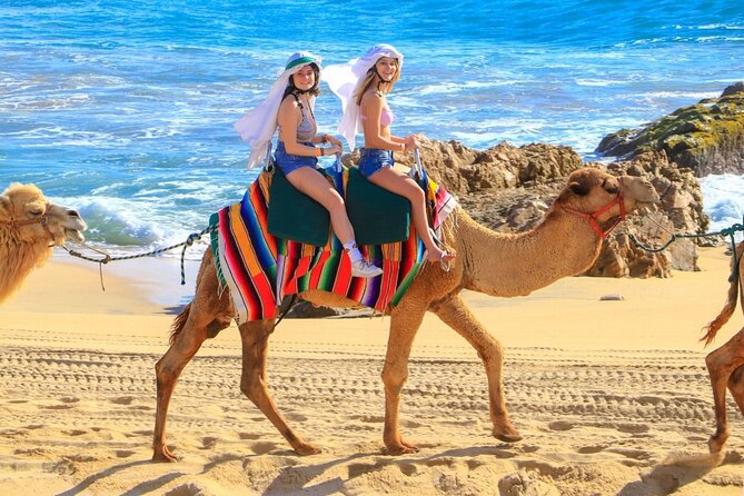 Camel Ride and UTV Combo Adventure, With Tequila Tasting - Safety and Accessibility
