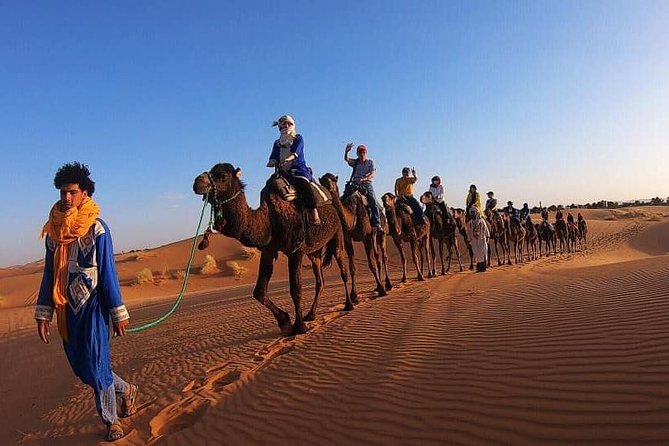 Camel Ride Experience - Tour Highlights