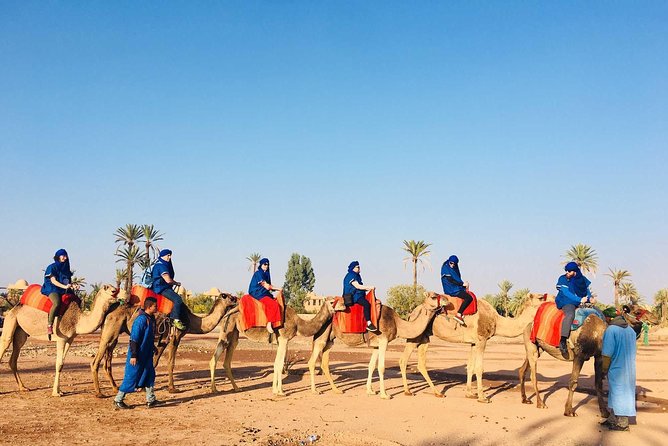 Camel Ride Marrakech - Moroccan Tea Tradition