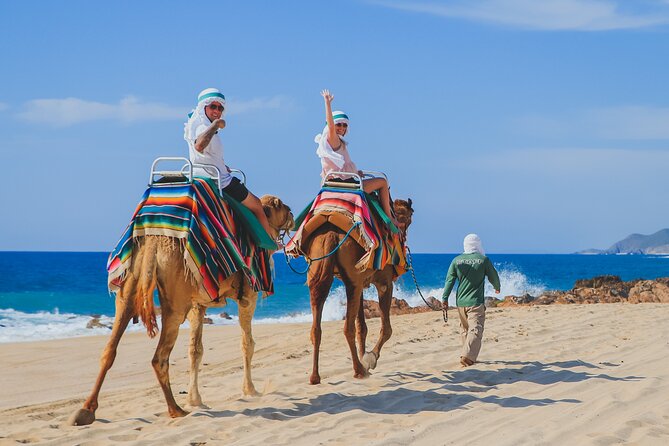 Camel Ride on the Beach With Mexican Lunch - Inclusions and Logistics