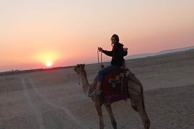 Camel Riding Tour in Luxor West Bank - Health and Accessibility